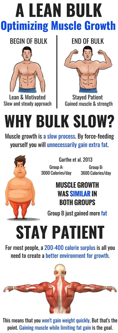 big muscle|How to Bulk: The Ultimate Guide to Gaining Size